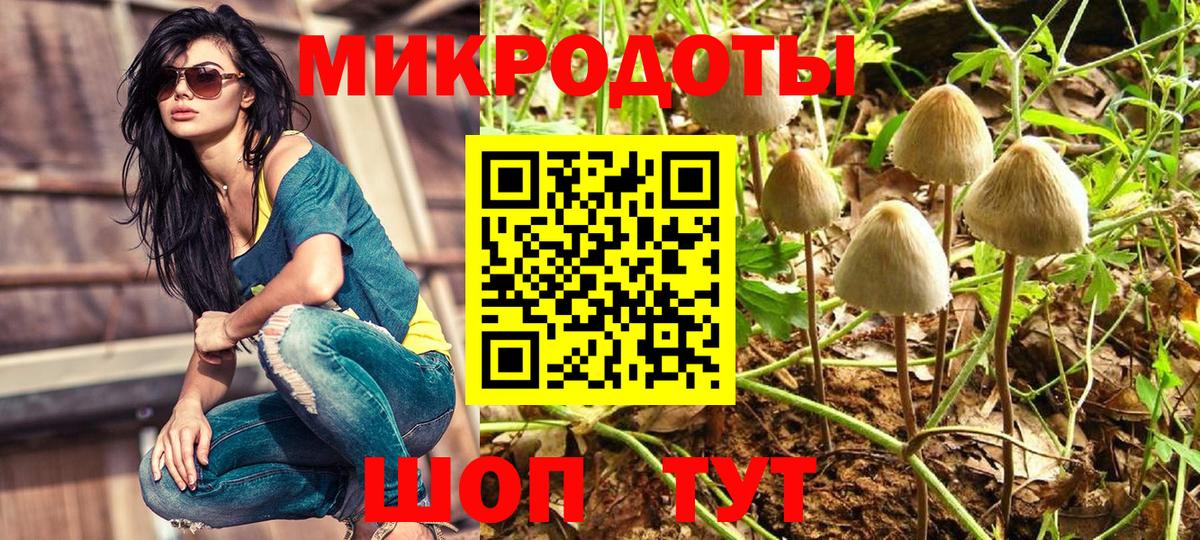 Псилоцибиновые грибы мицелий Лосино-Петровский