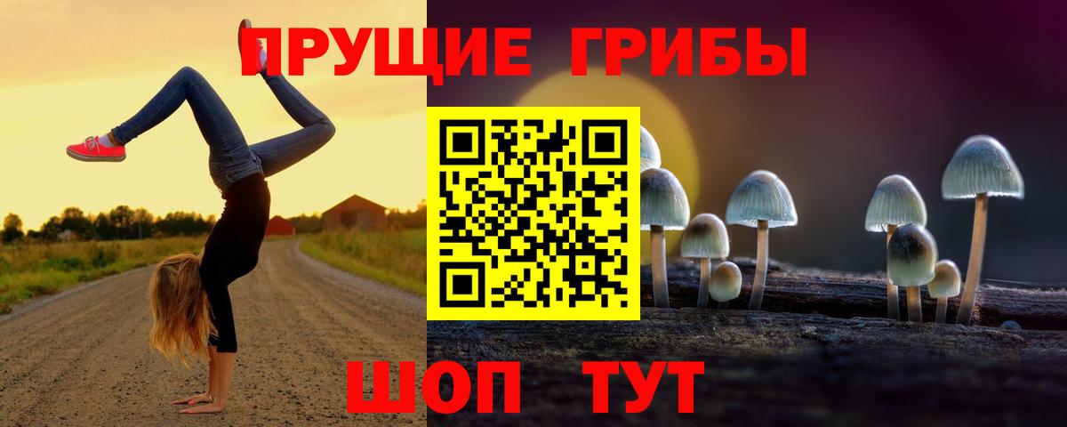 Лосино-Петровский  Галлюциногенные грибы GOLDEN TEACHER  Галлюциногенные грибы мухоморы  Вход с VPN 